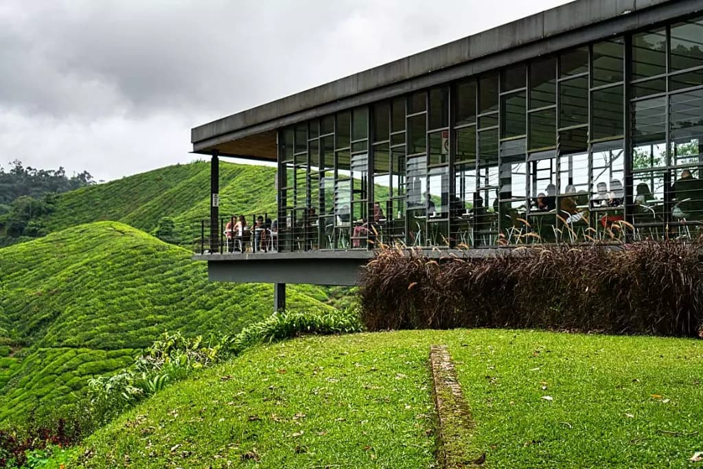 Cameron Highland Tour